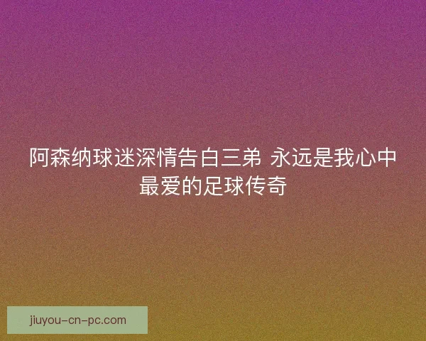 阿森纳球迷深情告白三弟 永远是我心中最爱的足球传奇