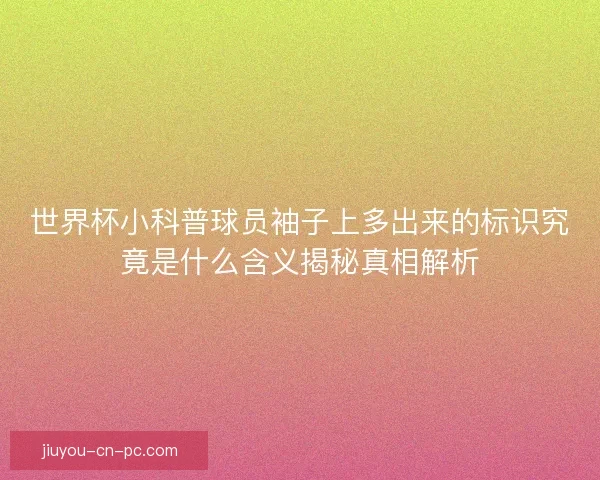 世界杯小科普球员袖子上多出来的标识究竟是什么含义揭秘真相解析